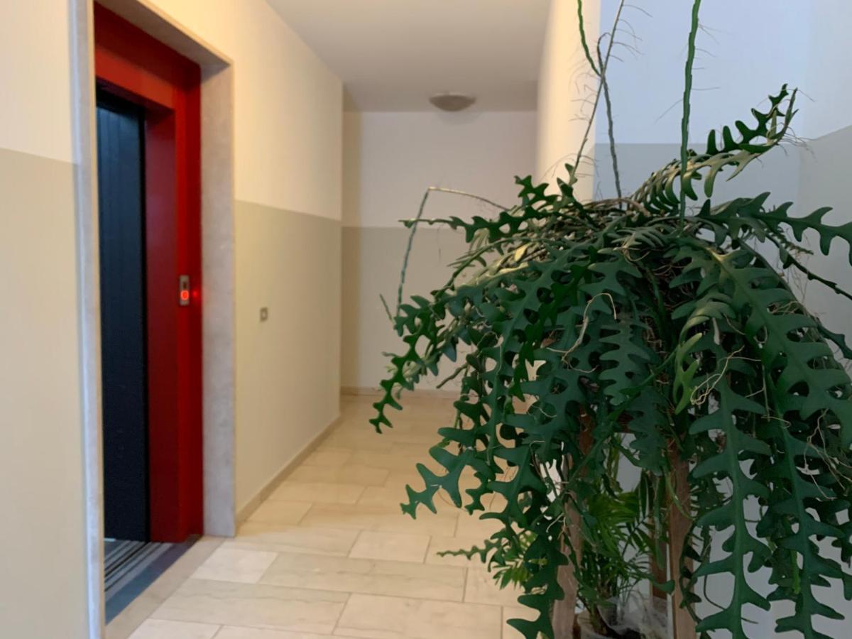 B&B Verona Business And Fun G B Rossi Friendly Ngoại thất bức ảnh